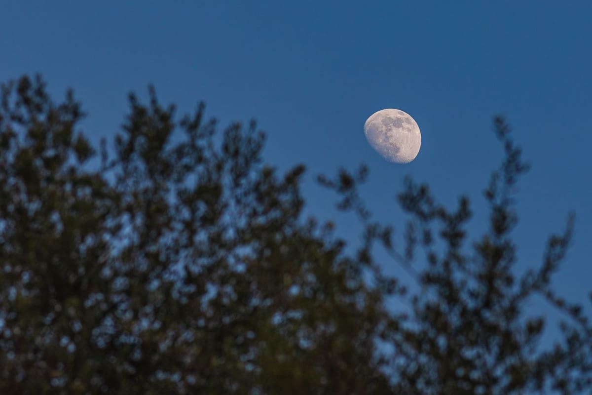 4 chambre Finca/Maison de Campagne à vendre à Coin avec piscine garage - 990 000 € (Ref: 7411232)