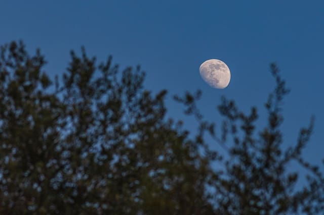 4 slaapkamer Finca/Landhuis te koop in Coín met zwembad garage - € 990.000 (Ref: 7411232)