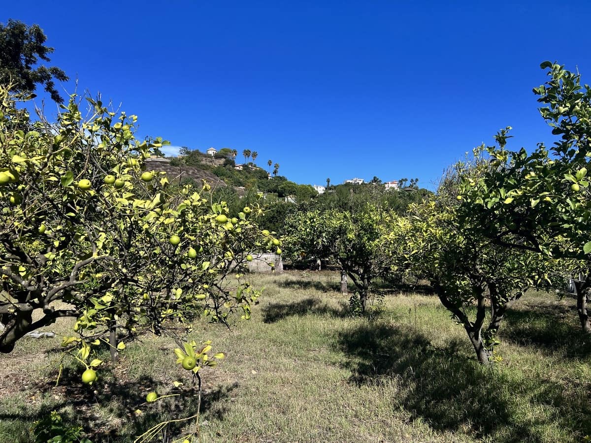 3 camera da letto Finca/Casa di Campagna in vendita in Estepona con garage - 525.000 € (Rif: 7924110)