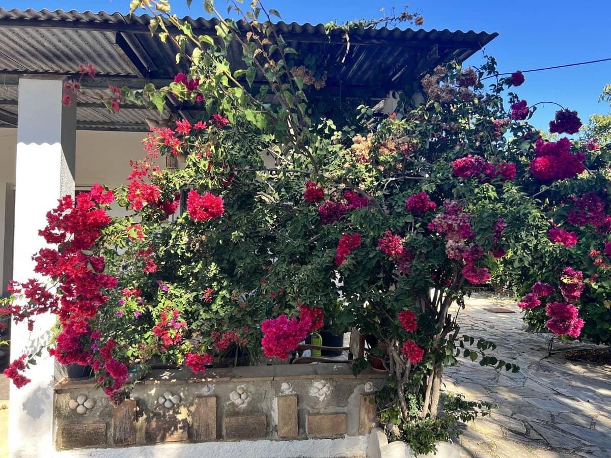 3 camera da letto Finca/Casa di Campagna in vendita in Estepona con garage - 525.000 € (Rif: 7924110)