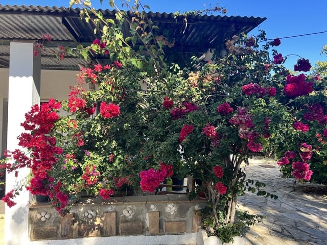 3 camera da letto Finca/Casa di Campagna in vendita in Estepona con garage - 525.000 € (Rif: 7924110)