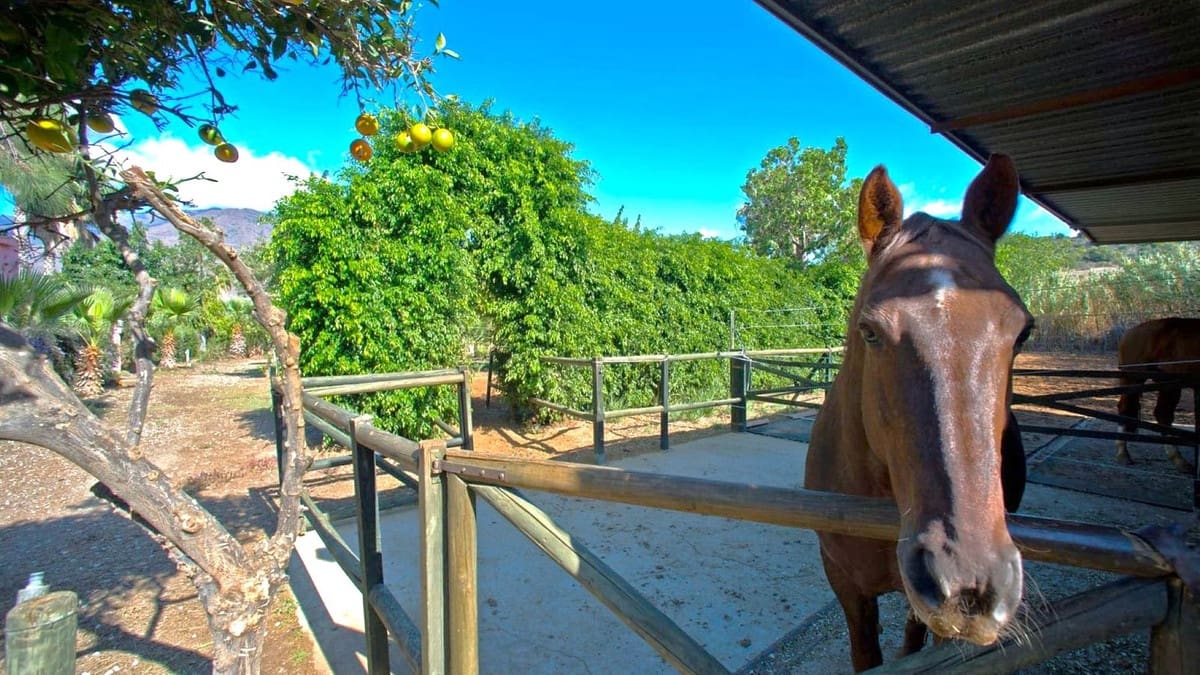 3 sovrum Finca/Hus på landet till salu i Estepona med pool garage - 875 000 € (Ref: 8189821)