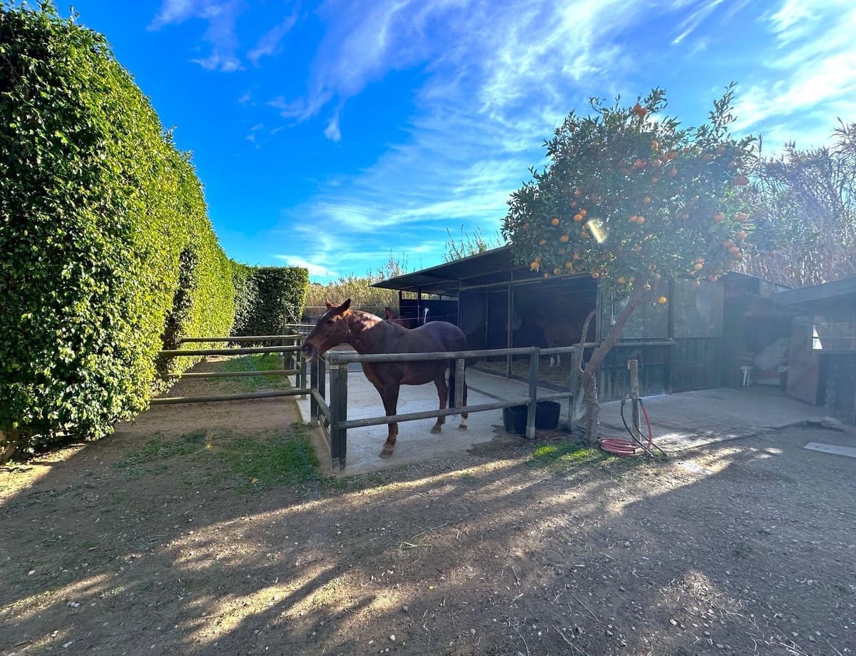 3 sovrum Finca/Hus på landet till salu i Estepona med pool garage - 875 000 € (Ref: 8189821)