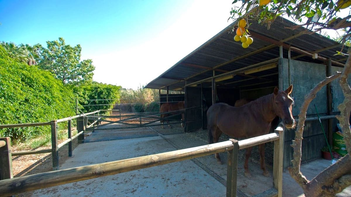 3 sovrum Finca/Hus på landet till salu i Estepona med pool garage - 875 000 € (Ref: 8189821)