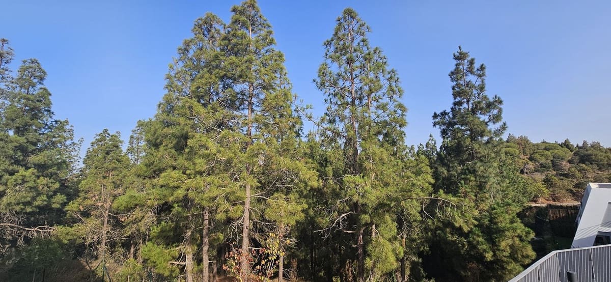 3 soverom Hus til salgs i El Chaparral med svømmebasseng garasje - € 695 000 (Ref: 8451392)