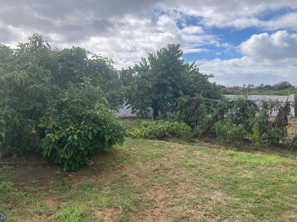 4 soverom Villa til salgs i New Golden Mile med svømmebasseng - € 2 100 000 (Ref: 8736157)