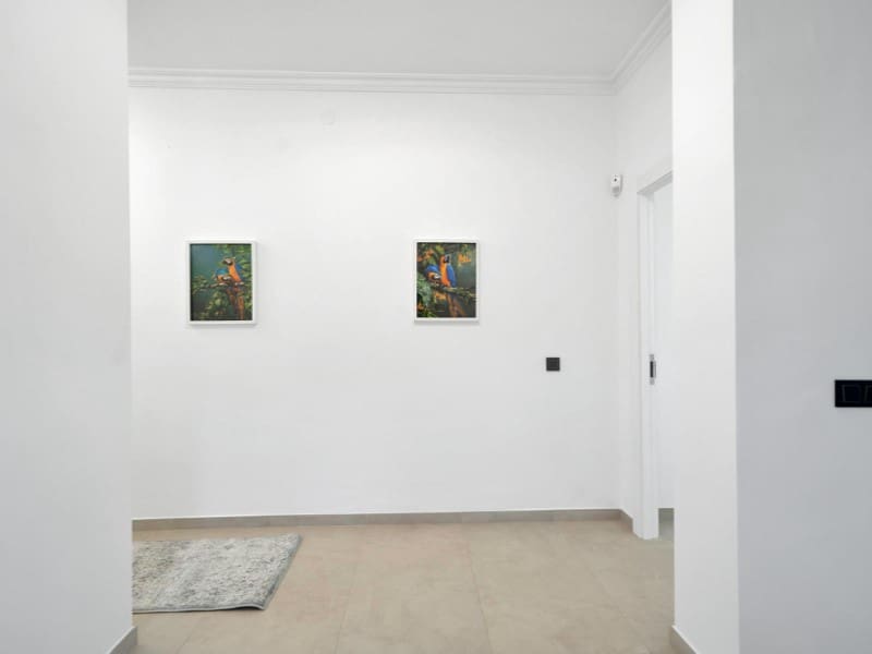 9 makuuhuone Huvila myytävänä paikassa Benalmadena Costa mukana uima-altaan - 2 950 000 € (Ref: 9576506)