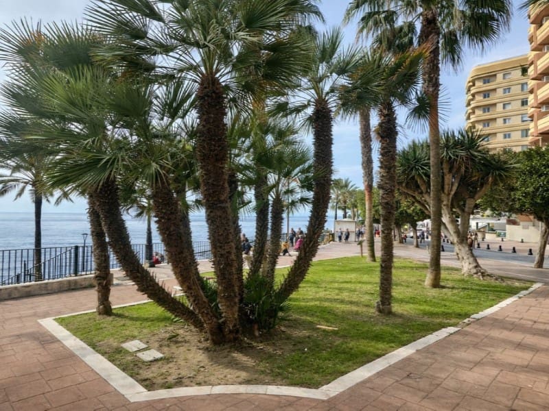 2 Zimmer Haus zu verkaufen in Marbella - 590.000 € (Ref: 9576531)