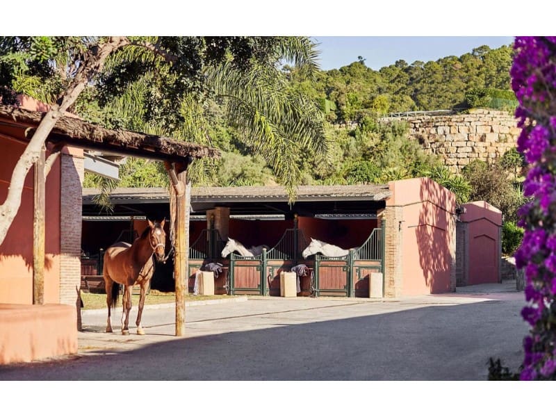 Terreno Não Urbanizado para venda em Benahavis - 1 195 000 € (Ref: 9578726)