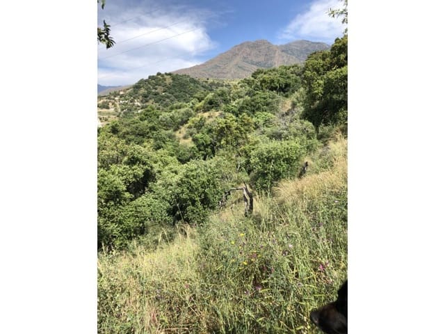 Terreno Non Edificato in vendita in Atalaya-Isdabe, Estepona - 510.000 € (Rif: 9578735)