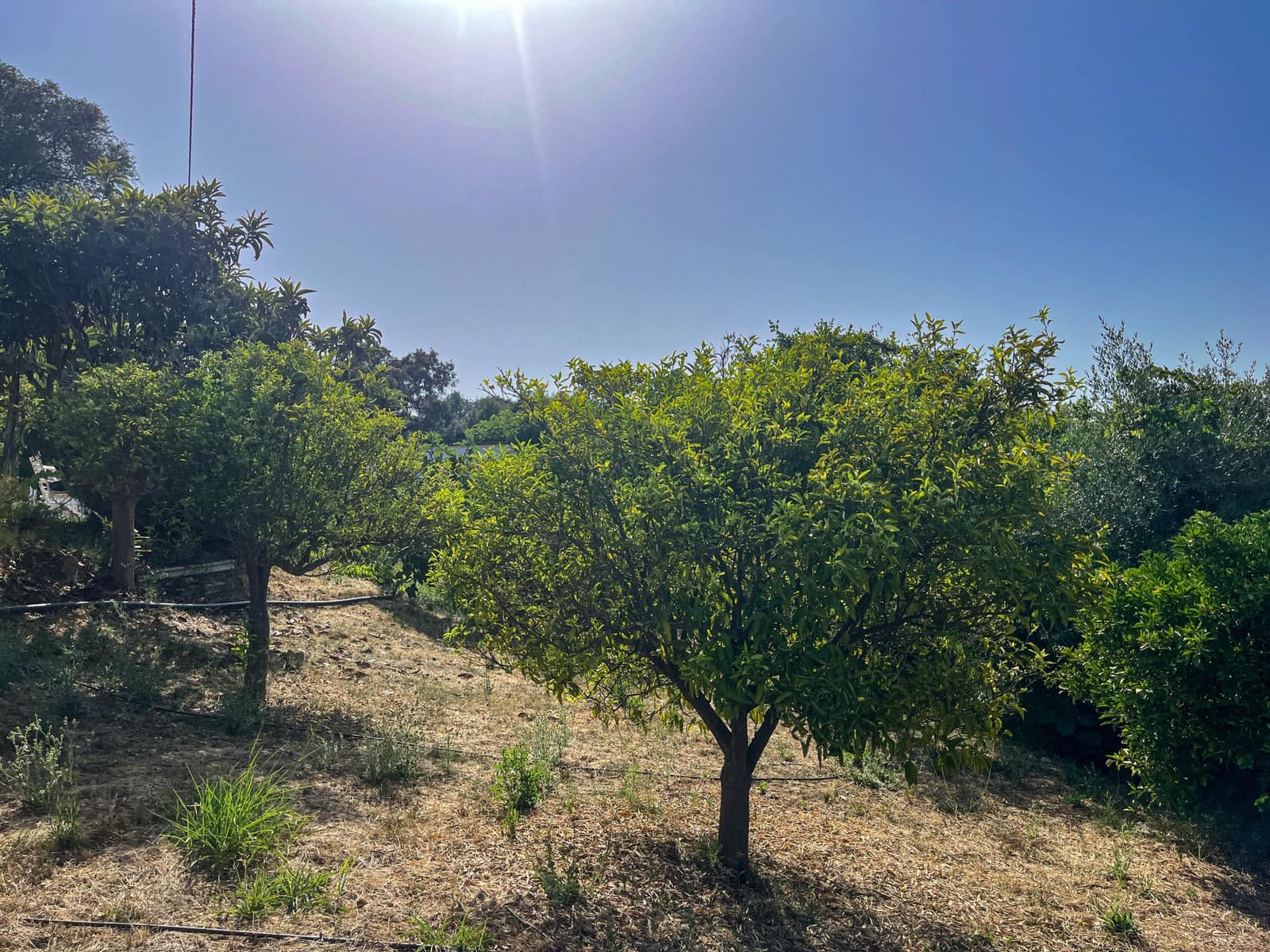 4 bedroom Finca/Country House for sale in Guaro with garage - € 318,500 (Ref: 9433464)