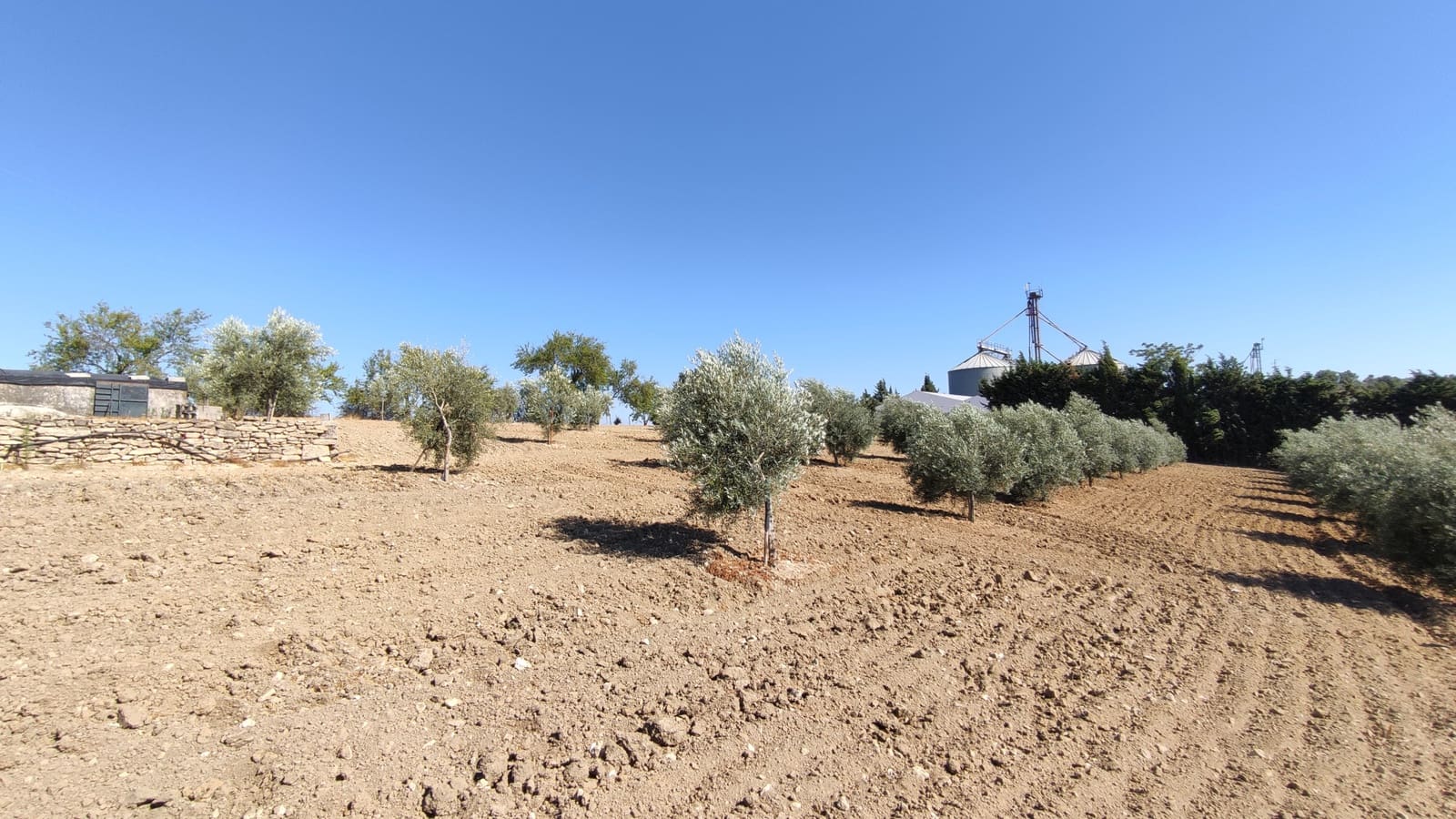 4 soverom Finca/Herregård til salgs i Ronda med garasje - € 477 500 (Ref: 9508241)