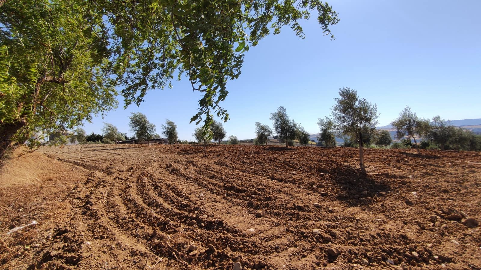 4 soverom Finca/Herregård til salgs i Ronda med garasje - € 477 500 (Ref: 9508241)