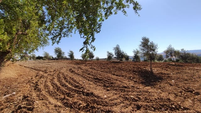 4 soverom Finca/Herregård til salgs i Ronda med garasje - € 477 500 (Ref: 9508241)