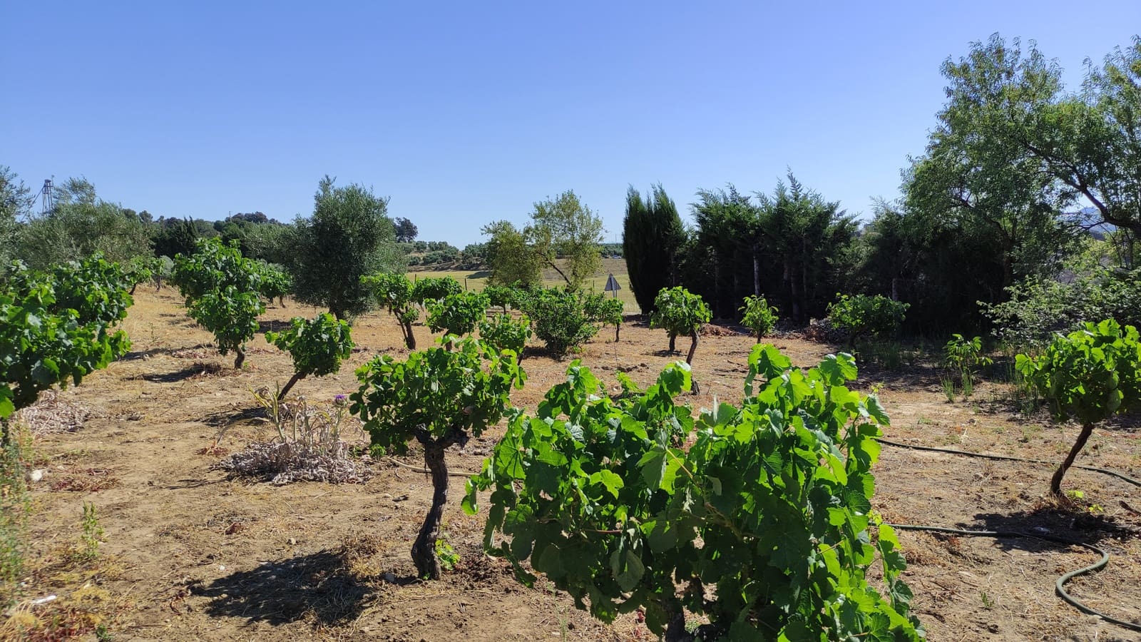 4 sovrum Finca/Hus på landet till salu i Ronda med garage - 477 500 € (Ref: 9508241)