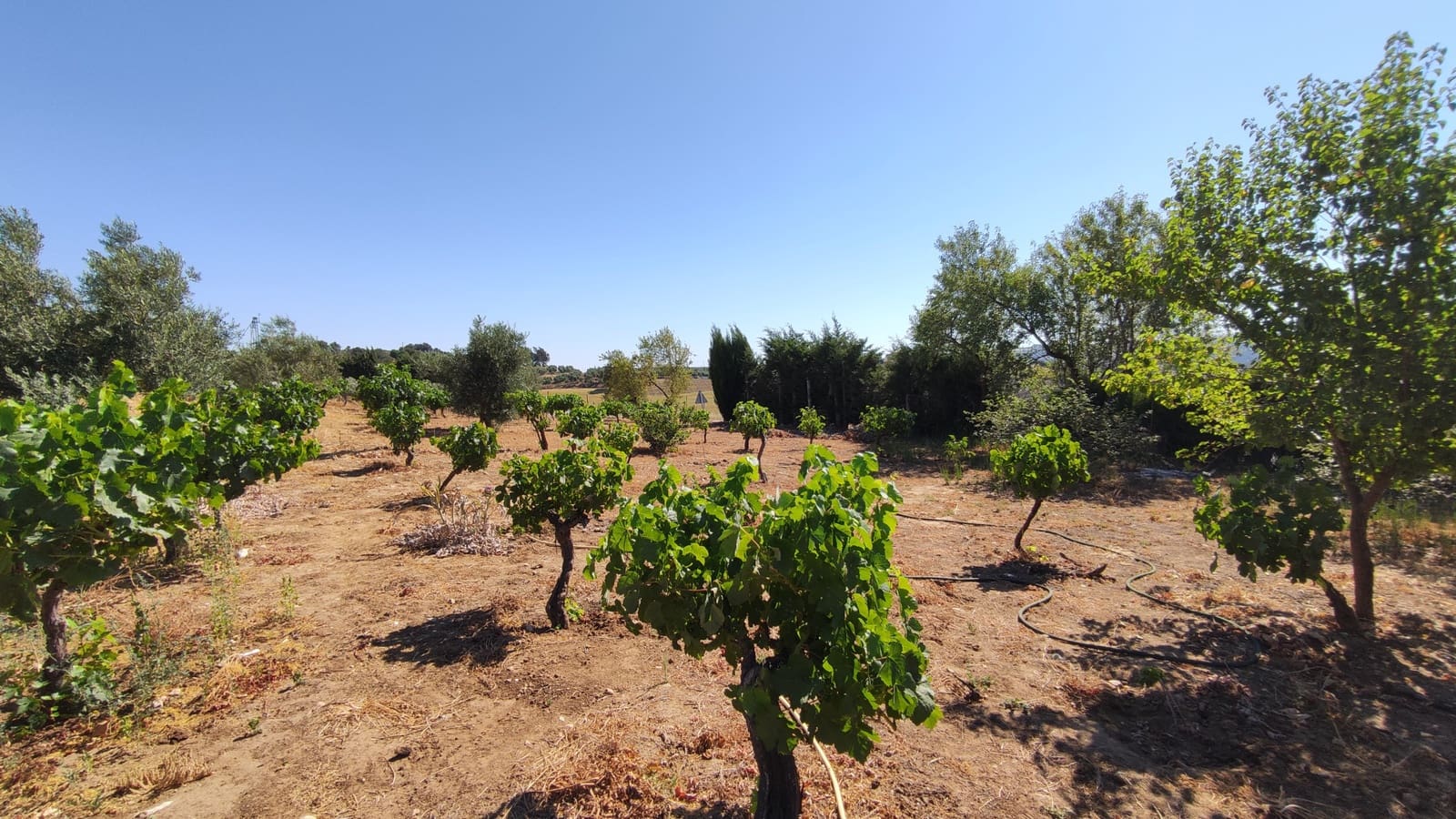 4 sovrum Finca/Hus på landet till salu i Ronda med garage - 477 500 € (Ref: 9508241)