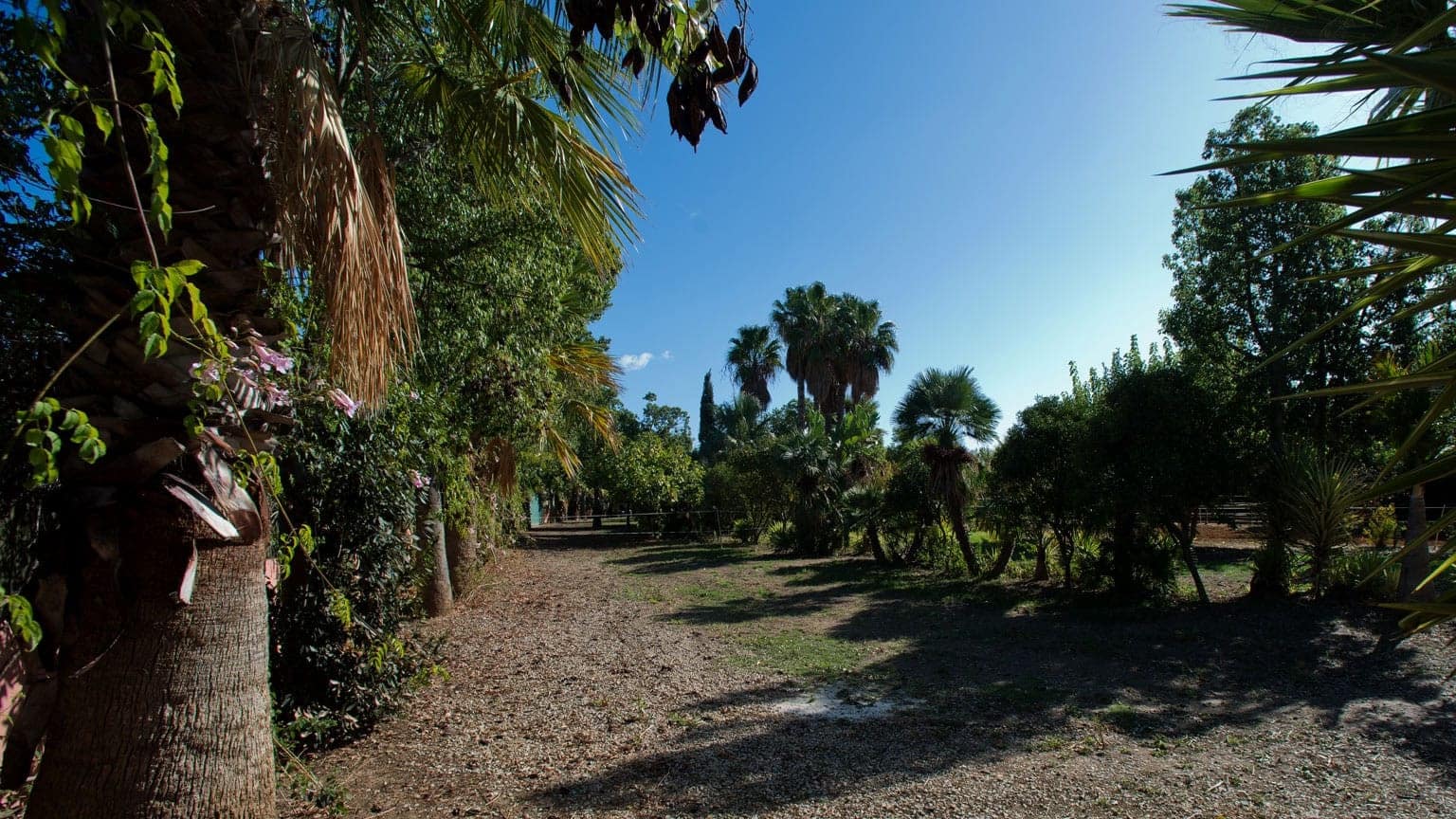 3 bedroom Finca/Country House for sale in Estepona with garage - € 875,000 (Ref: 9567980)