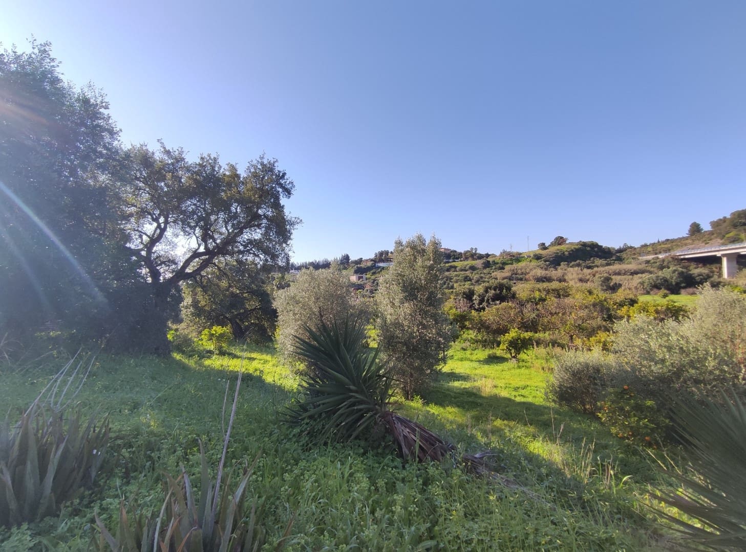 2 soveværelse Finca/Landehus til salg i El Padron med swimmingpool - € 550.000 (Ref: 9567981)