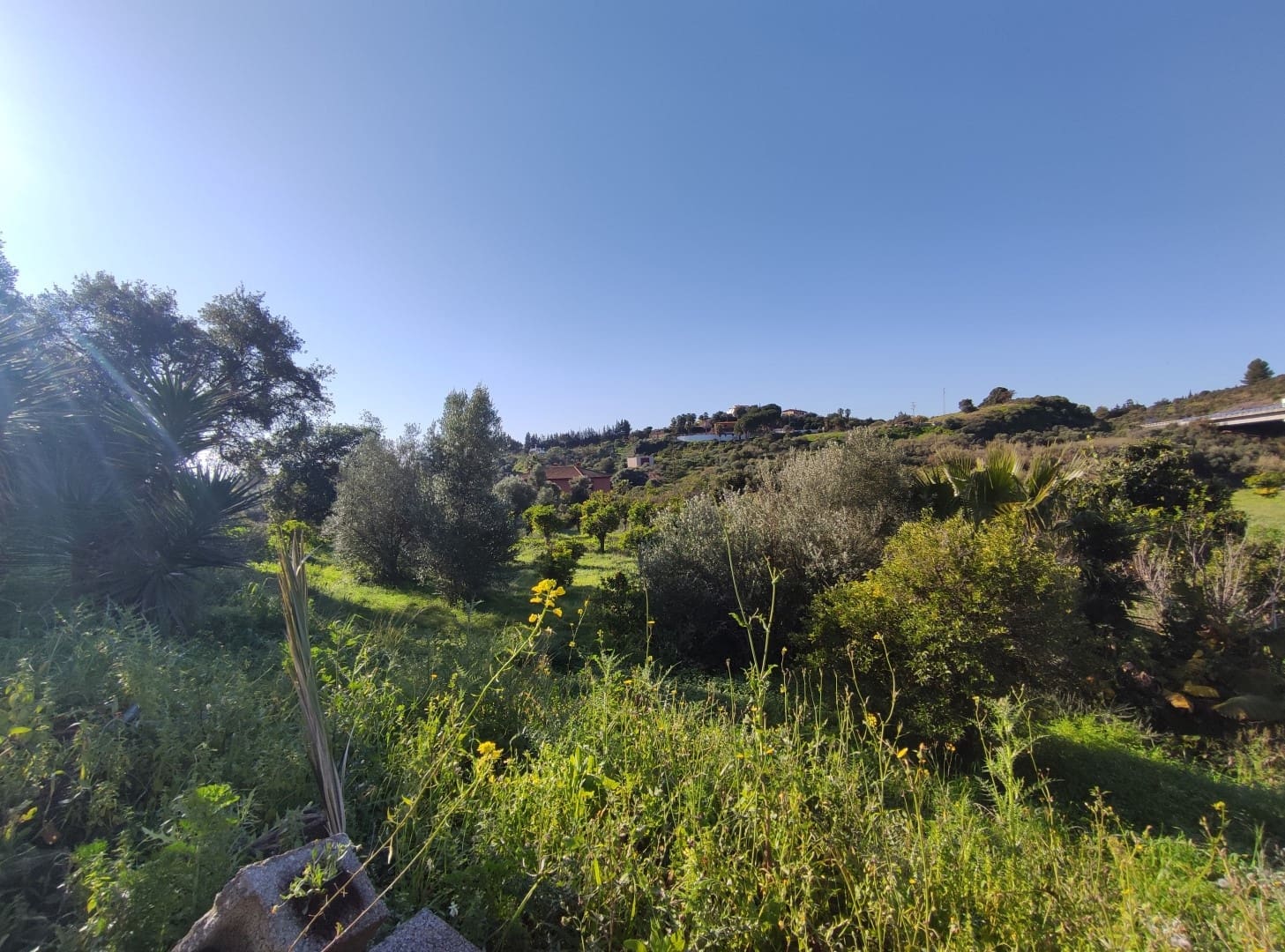 2 soveværelse Finca/Landehus til salg i El Padron med swimmingpool - € 550.000 (Ref: 9567981)