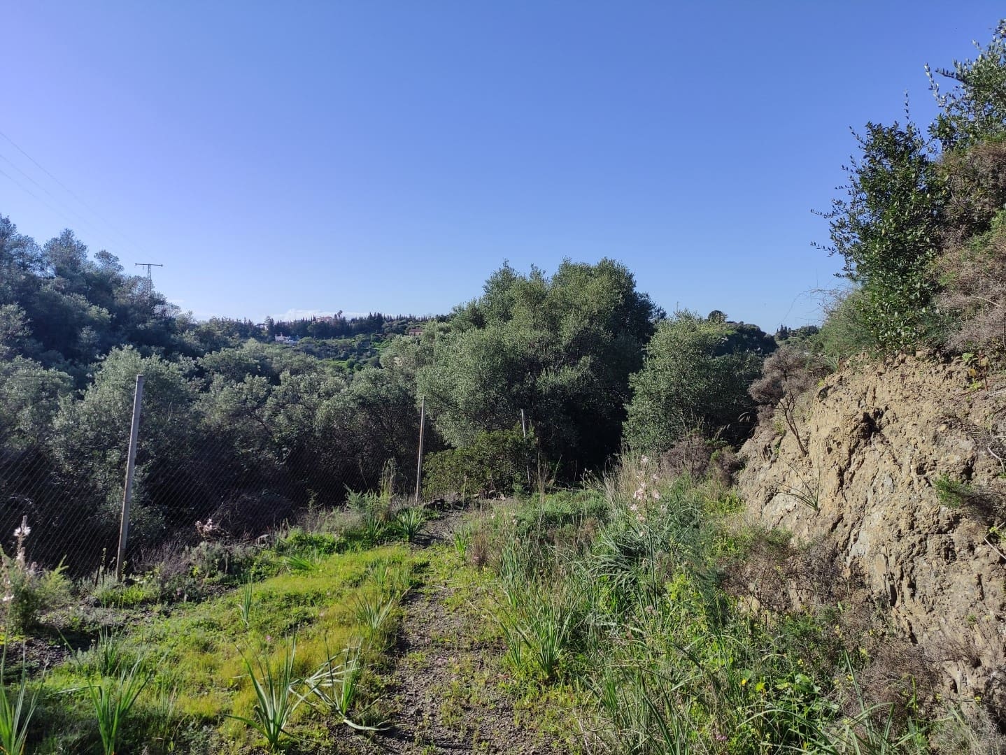 2 soveværelse Finca/Landehus til salg i El Padron med swimmingpool - € 550.000 (Ref: 9567981)