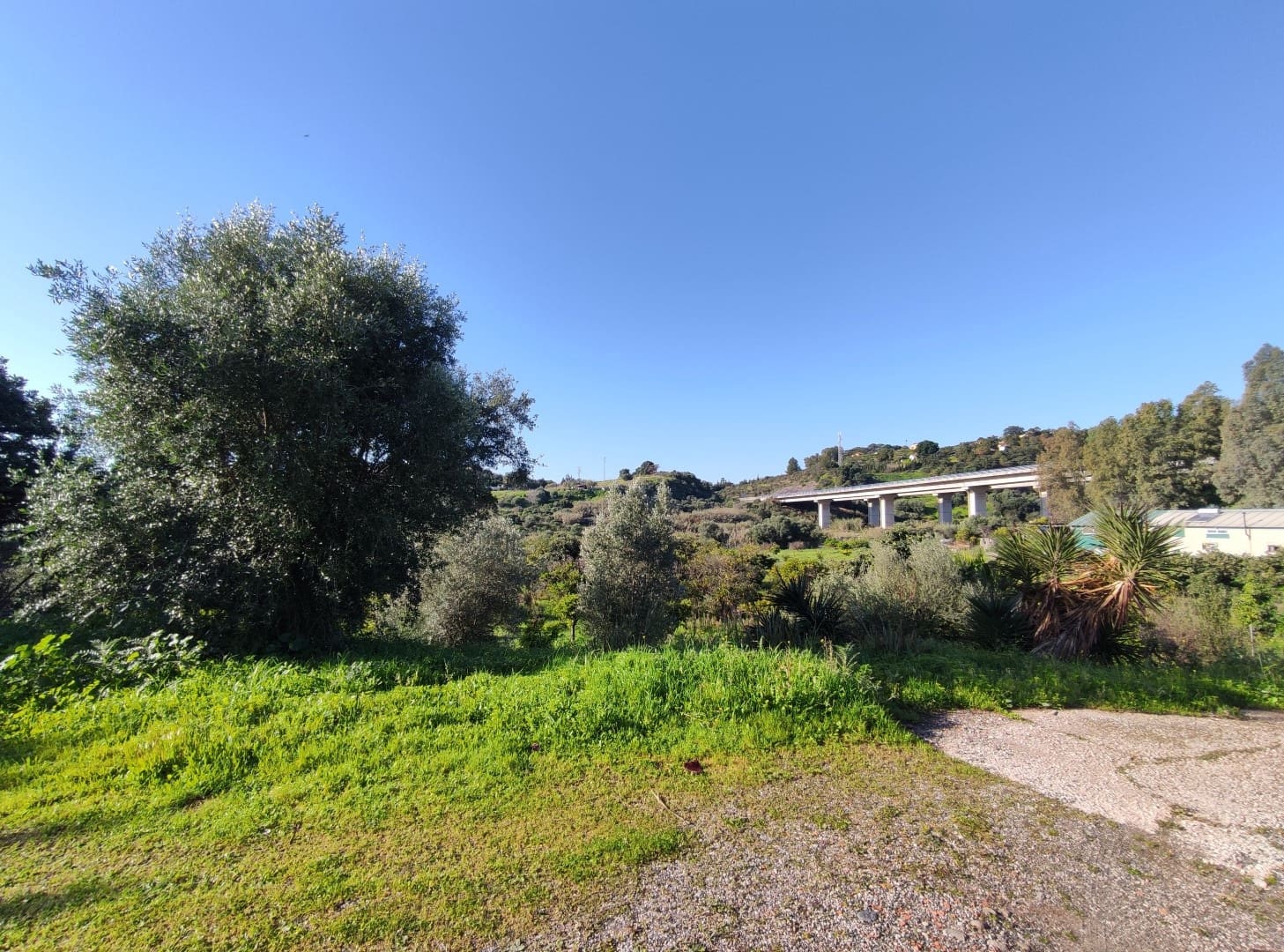 2 soveværelse Finca/Landehus til salg i El Padron med swimmingpool - € 550.000 (Ref: 9567981)