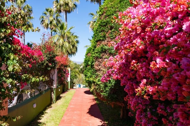 3 sovrum Hus till salu i Nueva Atalaya, Estepona med pool garage - 449 000 € (Ref: 9833204)