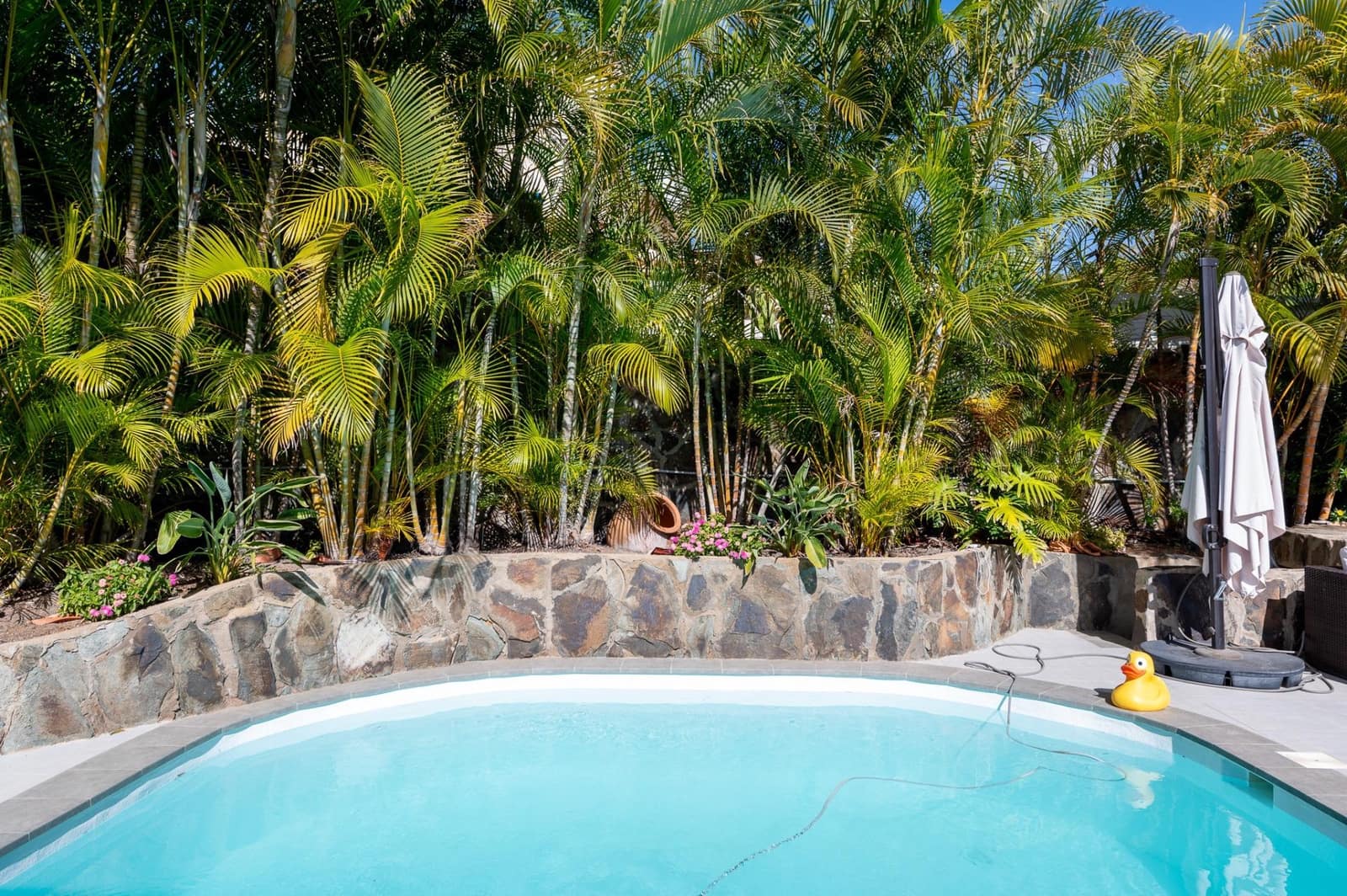 3 Zimmer Bungalow zu verkaufen in Maspalomas mit Pool - 895.000 € (Ref: 9555852)