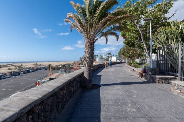 1 quarto Apartamento de Praia para venda em Playa del Inglés, San Bartolomé de Tirajana com piscina - 279 000 € (Ref: 9656114)