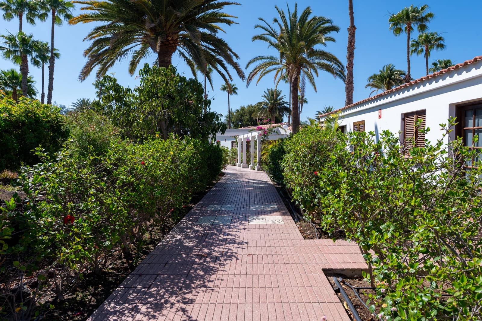 2 slaapkamer Bungalow te koop in Maspalomas met zwembad - € 375.000 (Ref: 9815863)