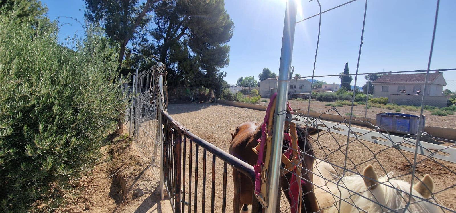 8 camera da letto Villa in vendita in Alhama de Murcia con piscina garage - 950.000 € (Rif: 9450762)