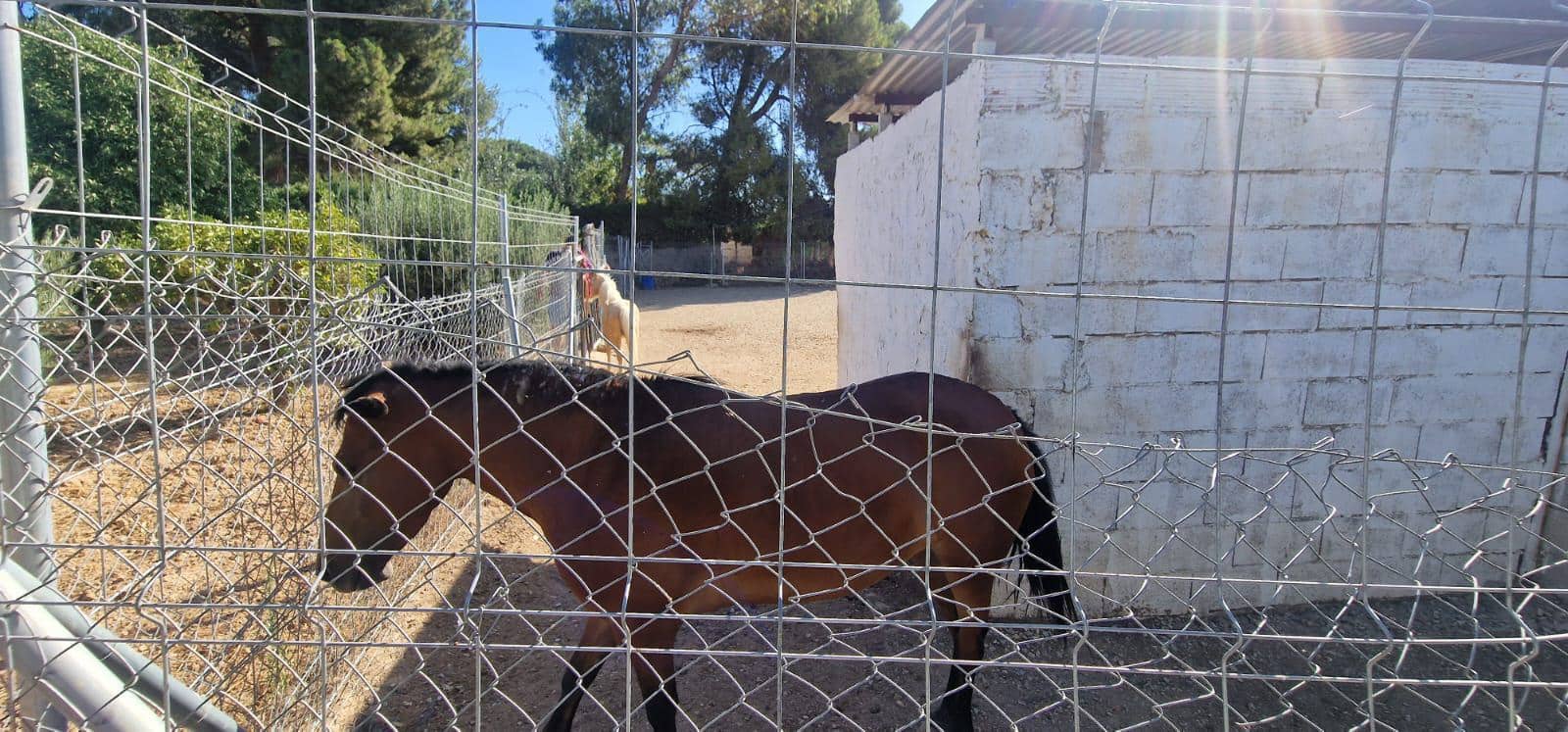 8 camera da letto Villa in vendita in Alhama de Murcia con piscina garage - 950.000 € (Rif: 9450762)