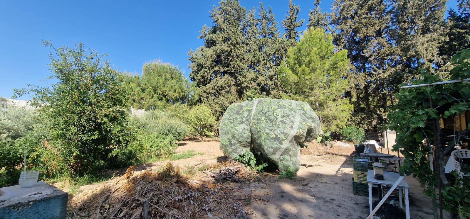 8 camera da letto Villa in vendita in Alhama de Murcia con piscina garage - 950.000 € (Rif: 9450762)