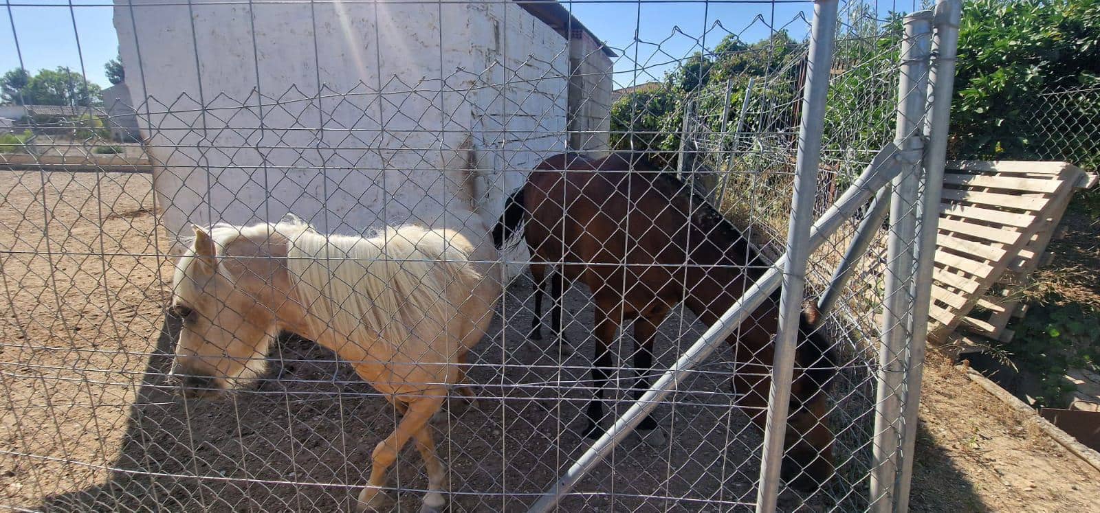 8 camera da letto Villa in vendita in Alhama de Murcia con piscina garage - 950.000 € (Rif: 9450762)