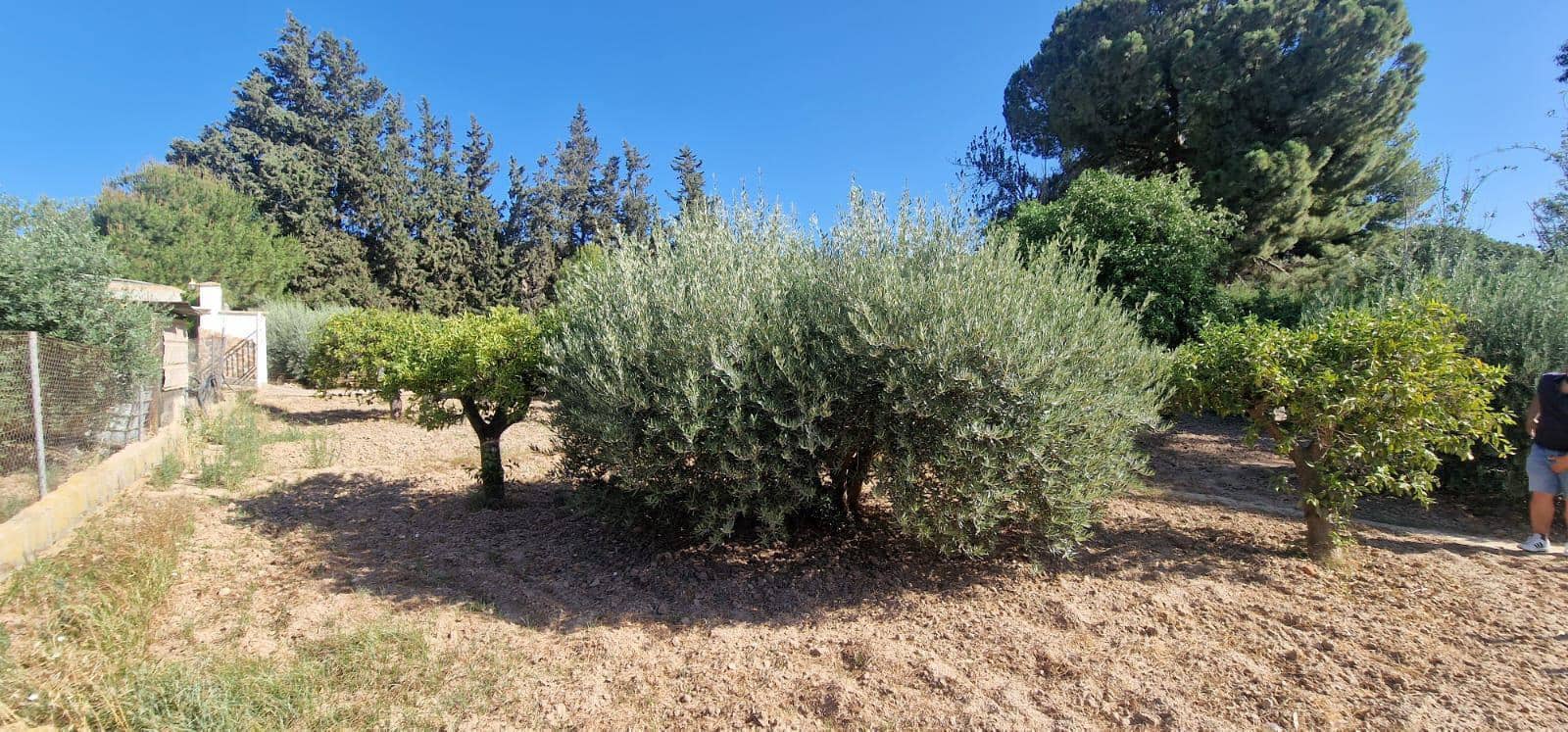 8 camera da letto Villa in vendita in Alhama de Murcia con piscina garage - 950.000 € (Rif: 9450762)