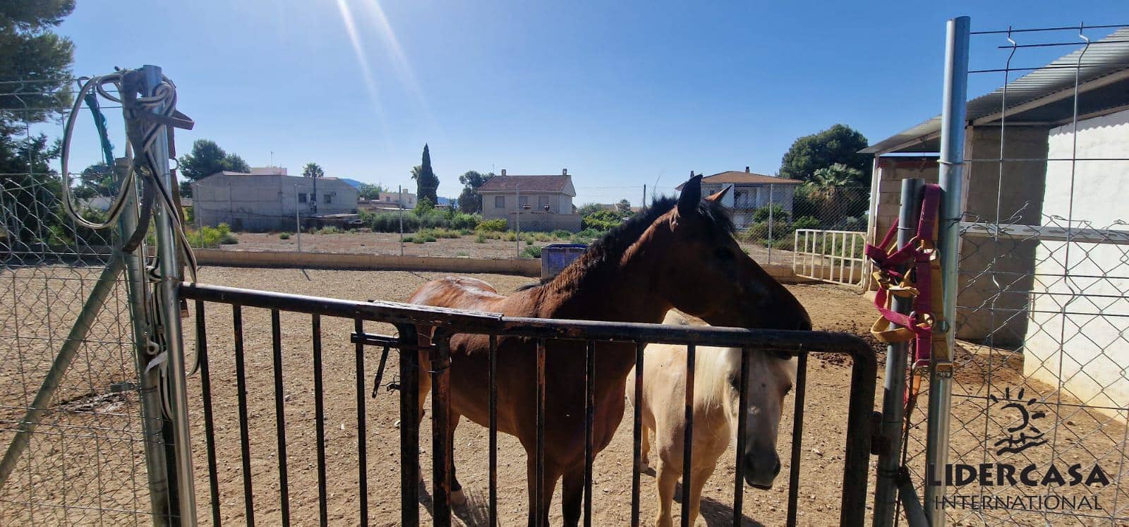 8 camera da letto Villa in vendita in Alhama de Murcia con piscina garage - 950.000 € (Rif: 9450762)