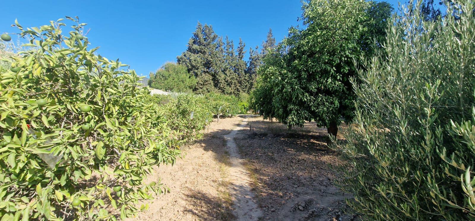 8 camera da letto Villa in vendita in Alhama de Murcia con piscina garage - 950.000 € (Rif: 9450762)