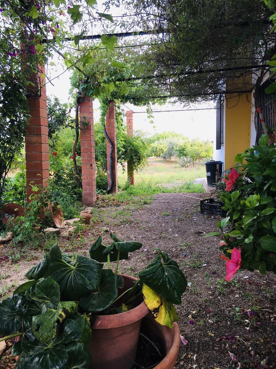 Chalet de 5 habitaciones en Fuente Alamo de Murcia en venta con garaje - 260.000 € (Ref: 9450788)