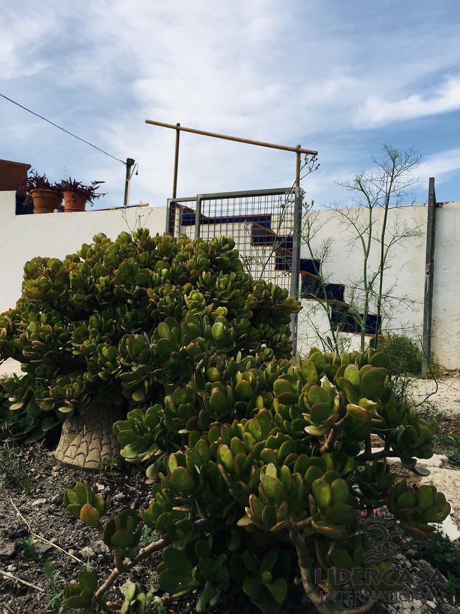 Chalet de 5 habitaciones en Fuente Alamo de Murcia en venta con garaje - 260.000 € (Ref: 9450788)