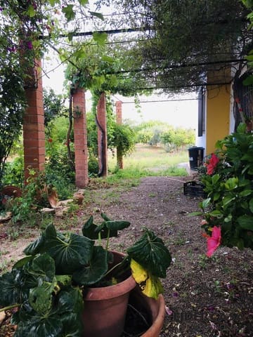 Chalet de 5 habitaciones en Fuente Alamo de Murcia en venta con garaje - 260.000 € (Ref: 9450788)