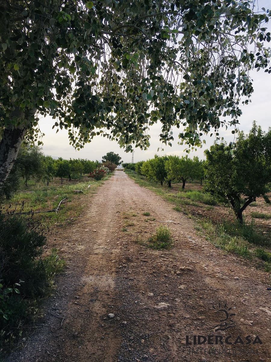 Chalet de 5 habitaciones en Fuente Alamo de Murcia en venta con garaje - 260.000 € (Ref: 9450788)