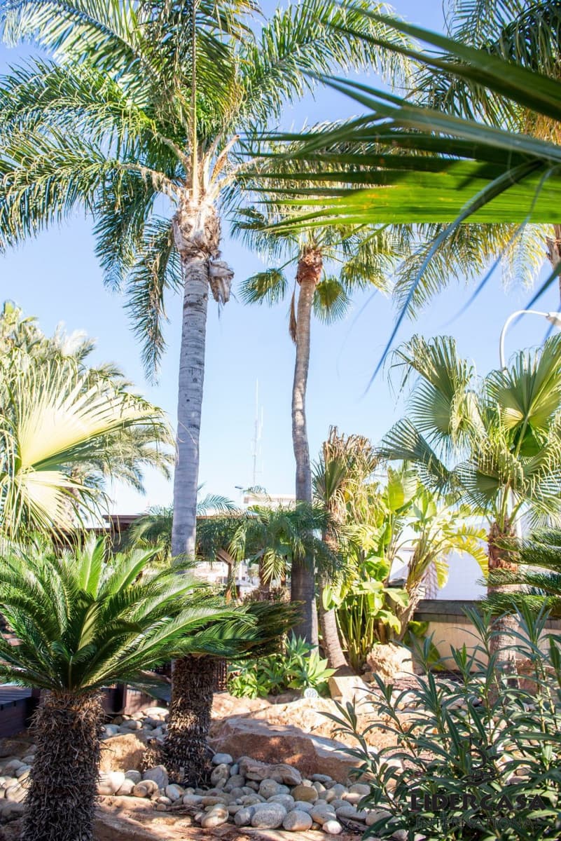 5 makuuhuone Huvila myytävänä paikassa San Pedro del Pinatar mukana uima-altaan 
autotalli - 1 500 000 € (Ref: 9473244)