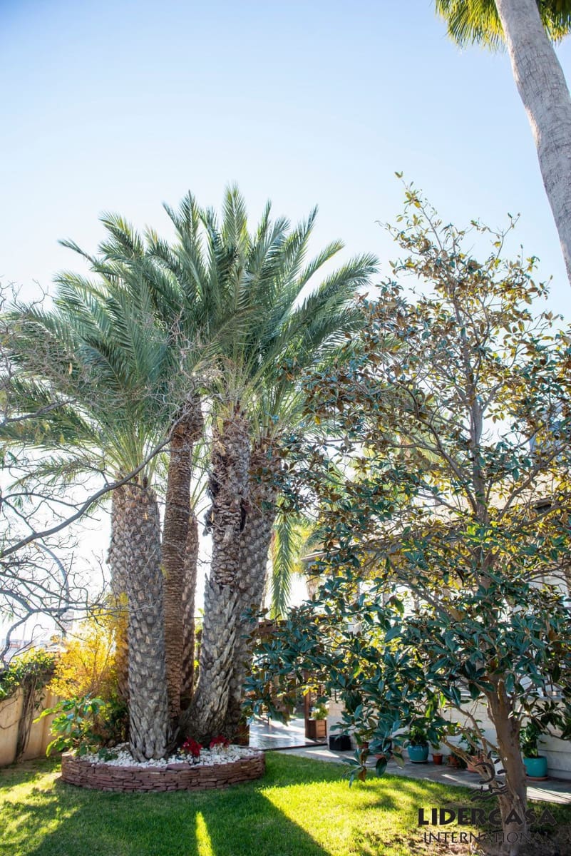 5 makuuhuone Huvila myytävänä paikassa San Pedro del Pinatar mukana uima-altaan 
autotalli - 1 500 000 € (Ref: 9473244)