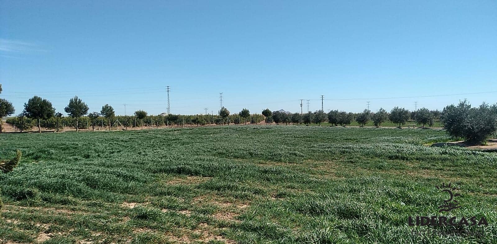 3 soveværelse Finca/Landehus til salg i Los Martinez del Puerto med garage - € 200.000 (Ref: 9473249)