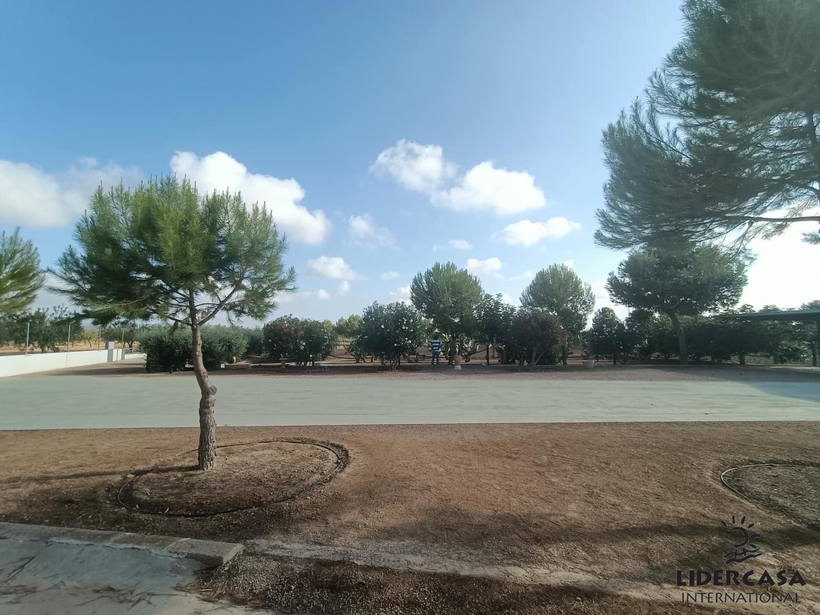 3 soveværelse Finca/Landehus til salg i Los Martinez del Puerto med garage - € 200.000 (Ref: 9473249)