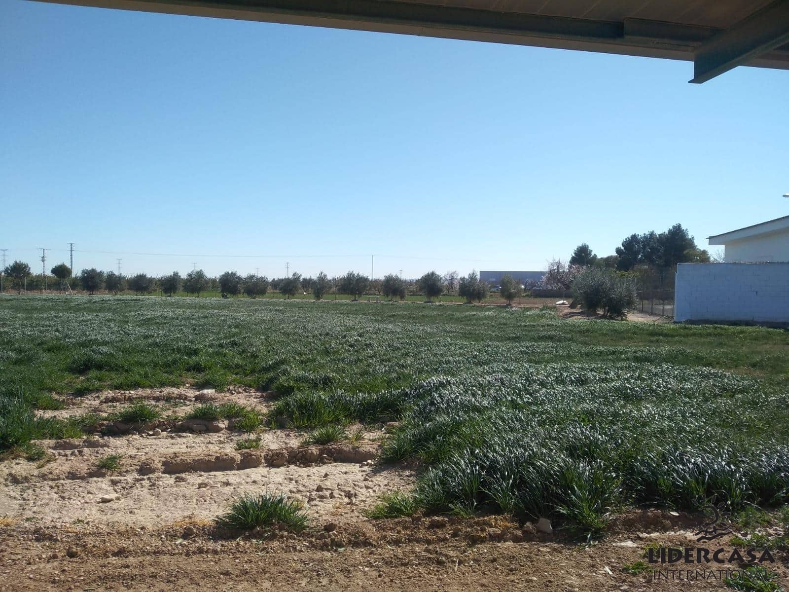 3 soveværelse Finca/Landehus til salg i Los Martinez del Puerto med garage - € 200.000 (Ref: 9473249)