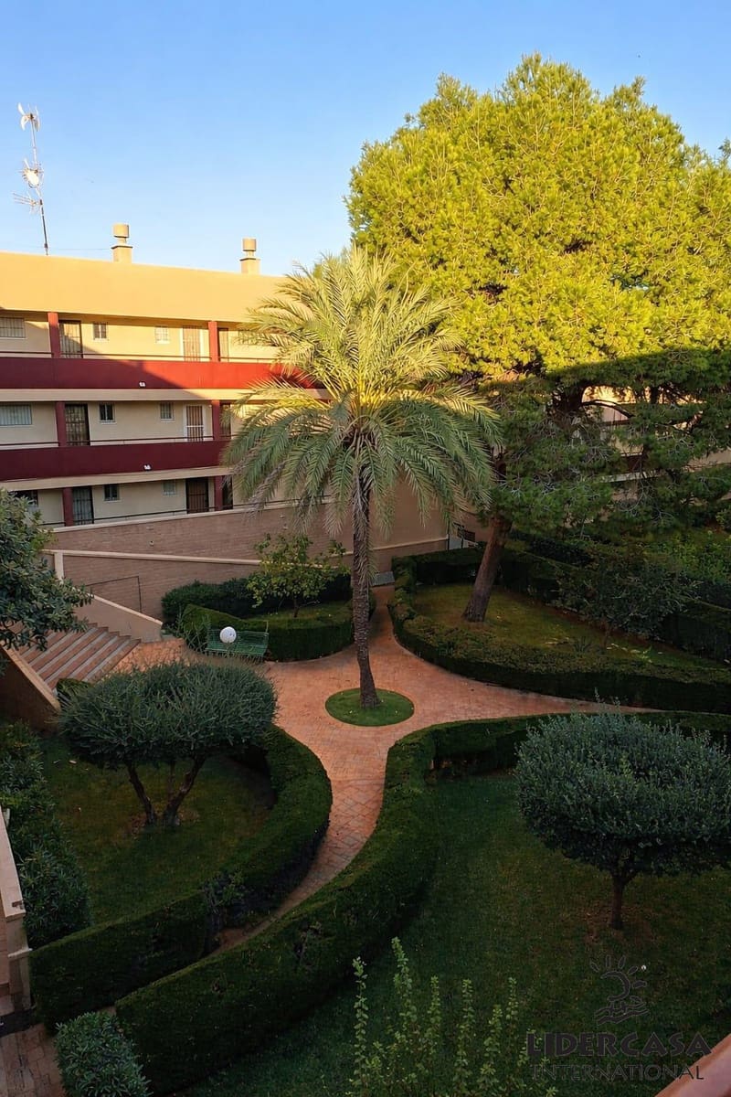 1 quarto Apartamento para venda em Pilar de la Horadada com piscina garagem - 125 000 € (Ref: 9576897)