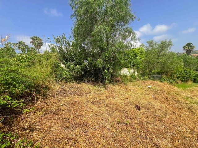 Terreno Não Urbanizado para venda em Sotogrande Alto, San Roque - 350 000 € (Ref: 9100217)