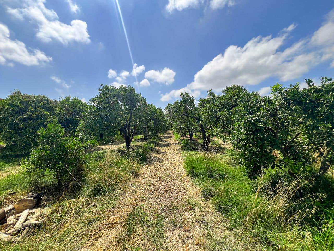 Grunde uden byggetilladelser til salg i San Martin del Tesorillo - € 850.000 (Ref: 9116548)