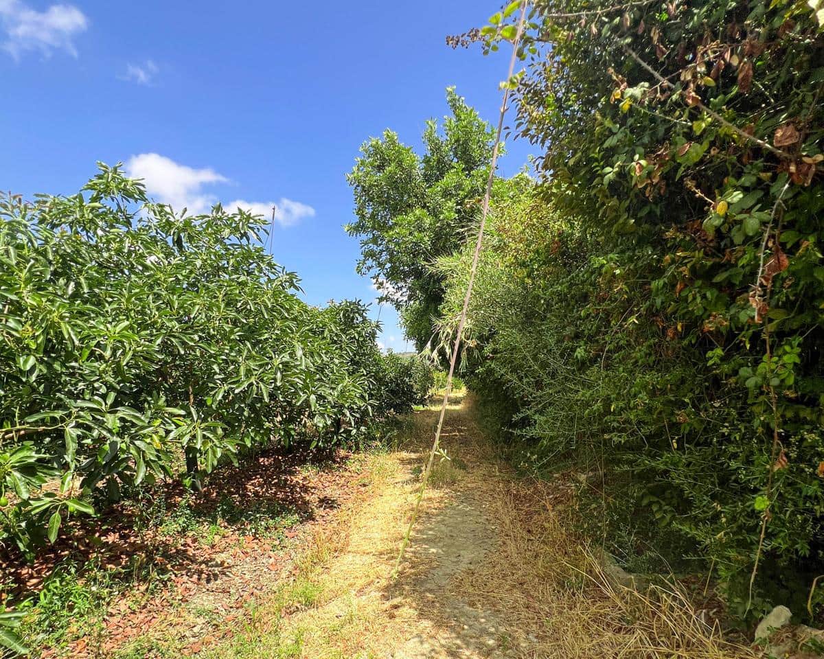 Grunde uden byggetilladelser til salg i San Martin del Tesorillo - € 850.000 (Ref: 9116548)