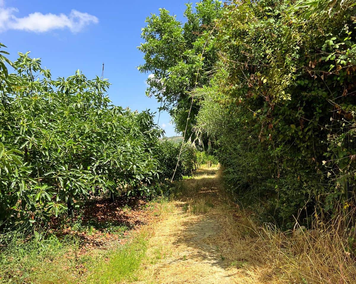 Grunde uden byggetilladelser til salg i San Martin del Tesorillo - € 850.000 (Ref: 9116548)